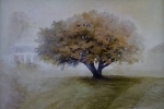 StoreGal/store/Oil/_thb_Tree in fog 36x24.jpg